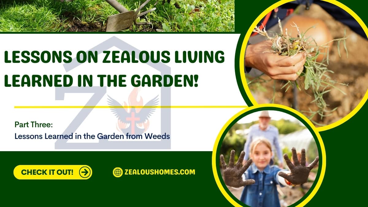 Lessons on Zealous Living Learned in the Garden Part Three Lessons learned from weeds.