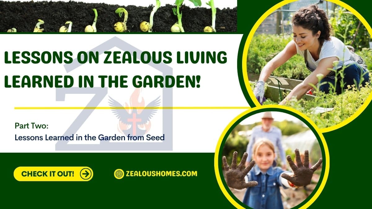 Lessons-on-zealous-living-learned-in-the-garden-part-two