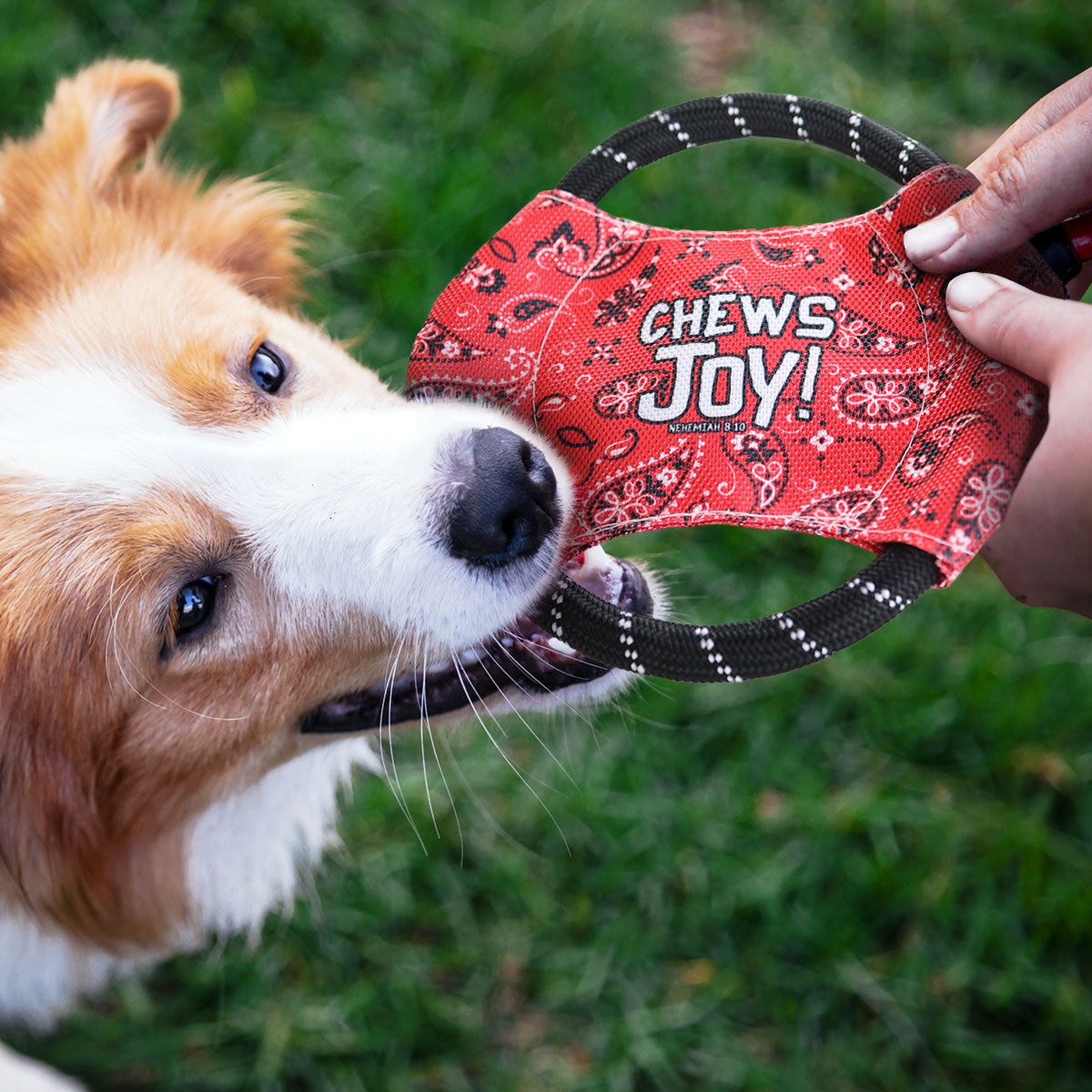 Chews Joy | Paws & Pray® Rope Disc